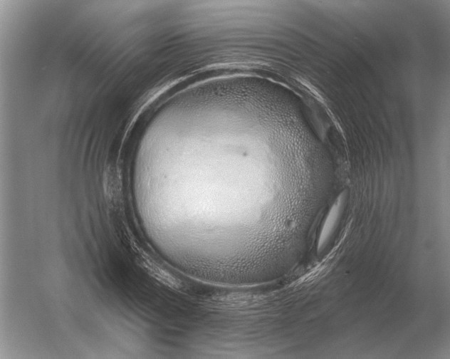 X0000056370779200509161853