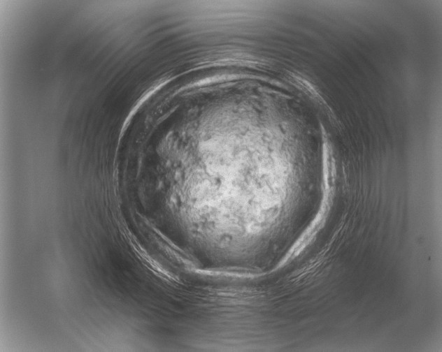 X0000056370780200509161853