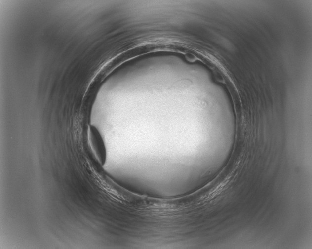 X0000056370783200509161853