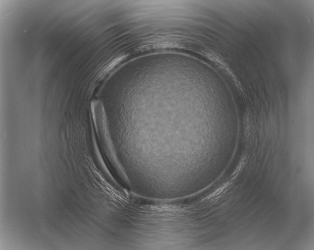 X0000056370785200509161853