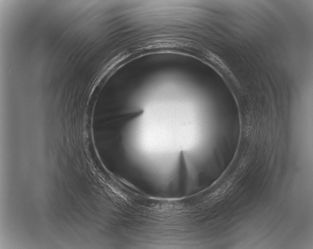 X0000056370786200509161853