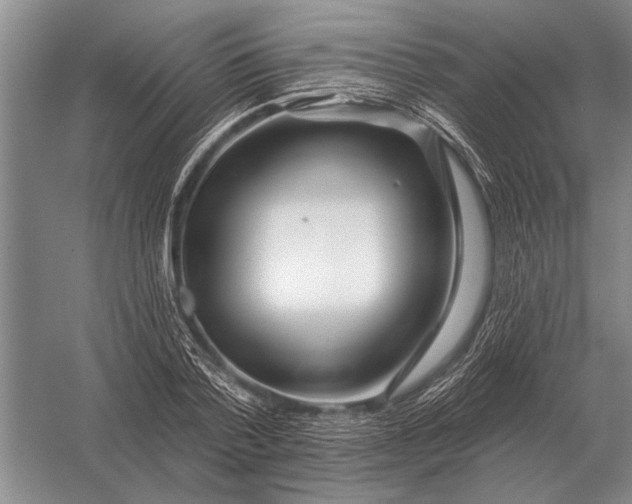 X0000056370788200509161853