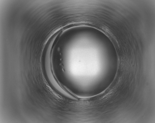 X0000056370789200509161853