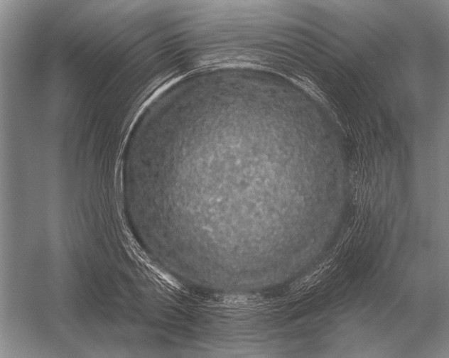 X0000056370790200509161853