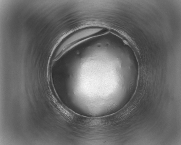 X0000056370791200509161853