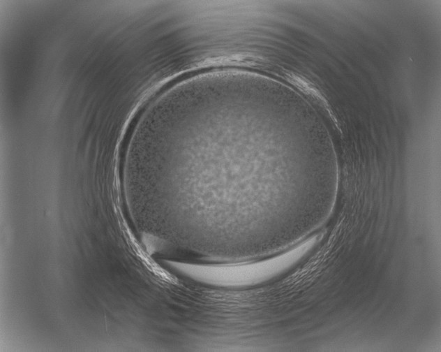 X0000056370792200509161853