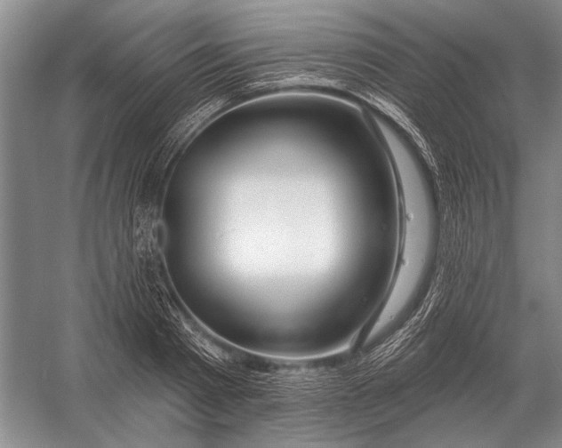 X0000056370793200509161853