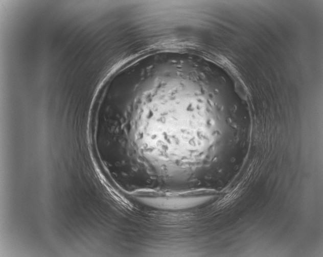 X0000056370795200509161853