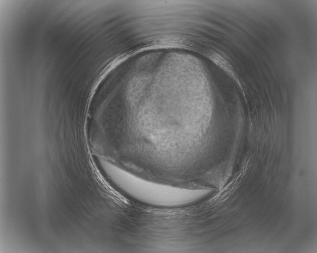 X0000056370797200509161853