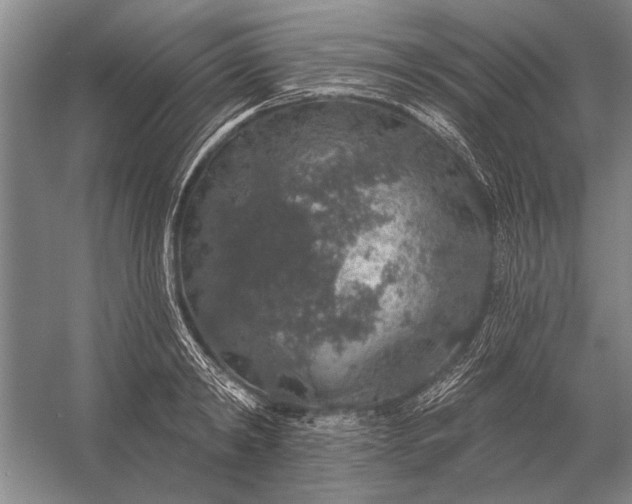 X0000056370798200509161853