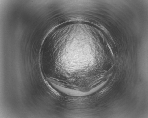 X0000056370799200509161853