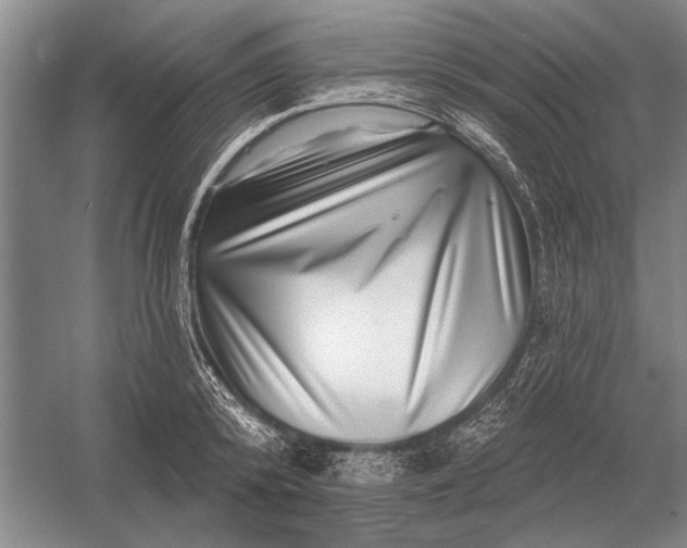 X0000056370800200509161853