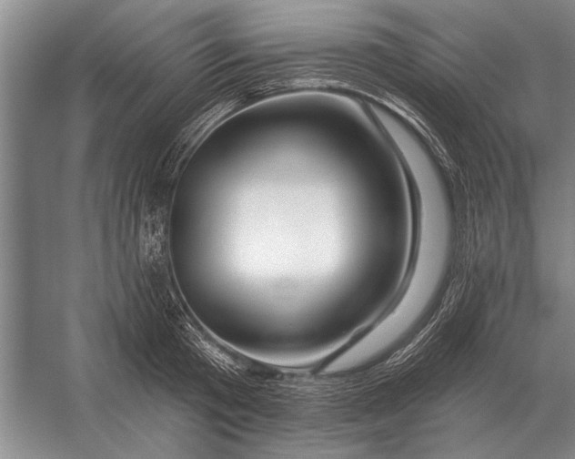 X0000056370801200509161853