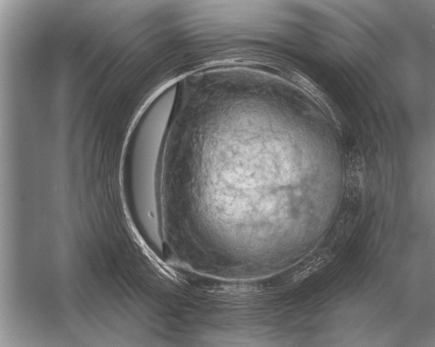 X0000056370803200509161853