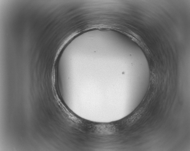 X0000056370804200509161853