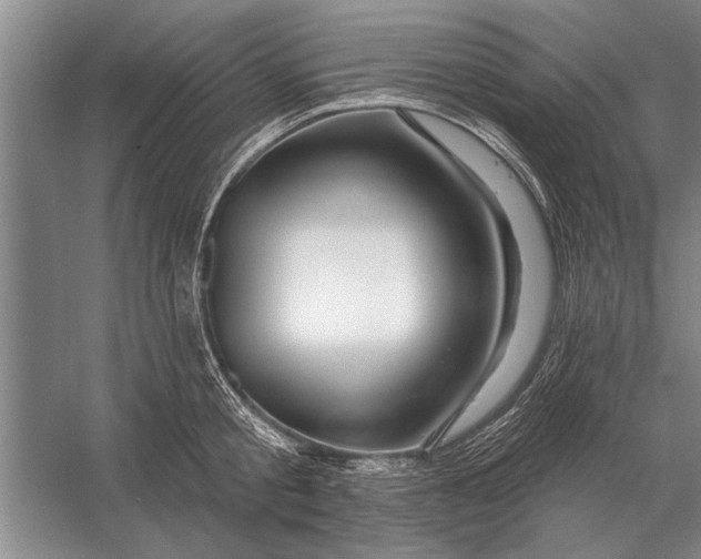 X0000056370805200509161853