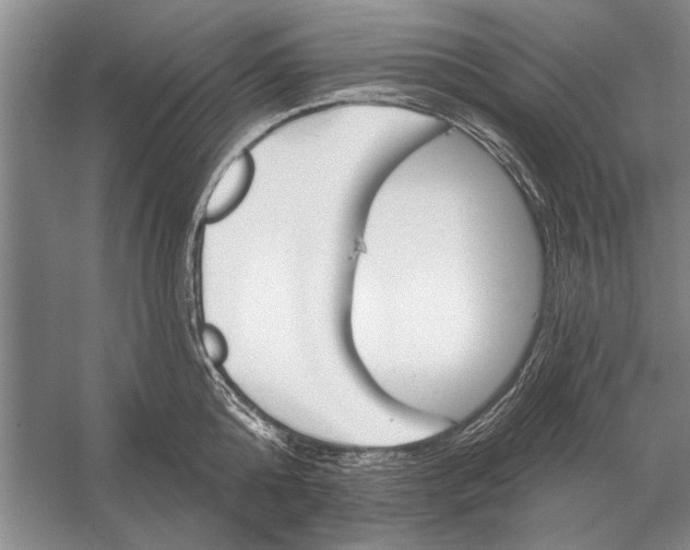 X0000056370808200509161853