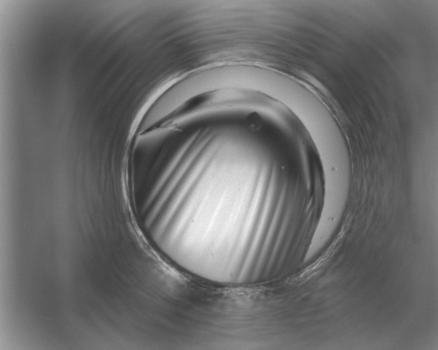 X0000056370812200509161853