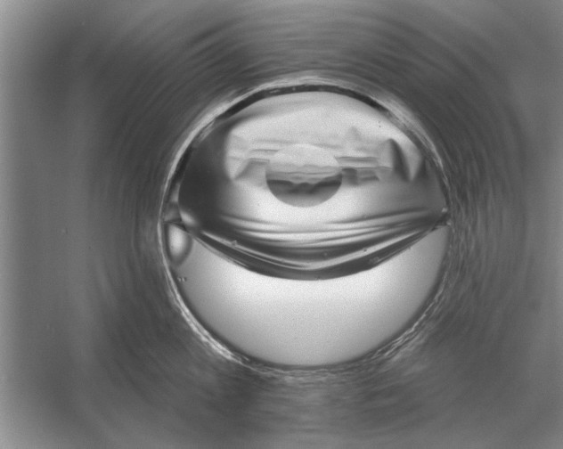 X0000056370813200509161853