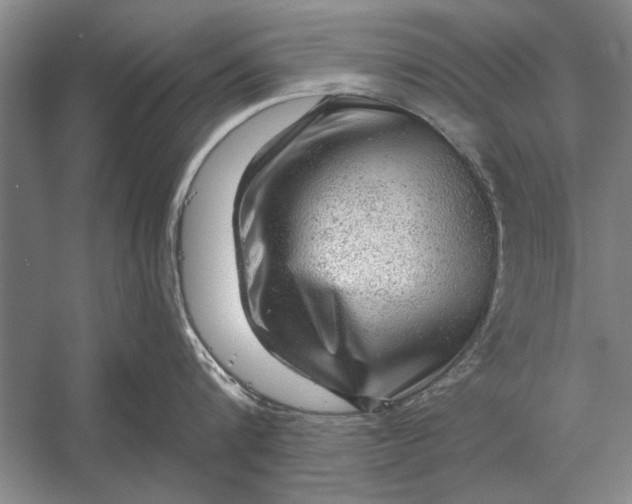 X0000056370816200509161853