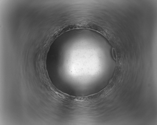 X0000056370817200509161852