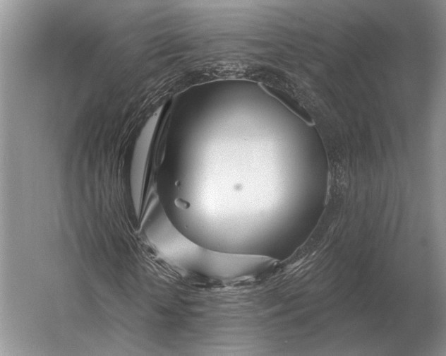 X0000056370818200509161852