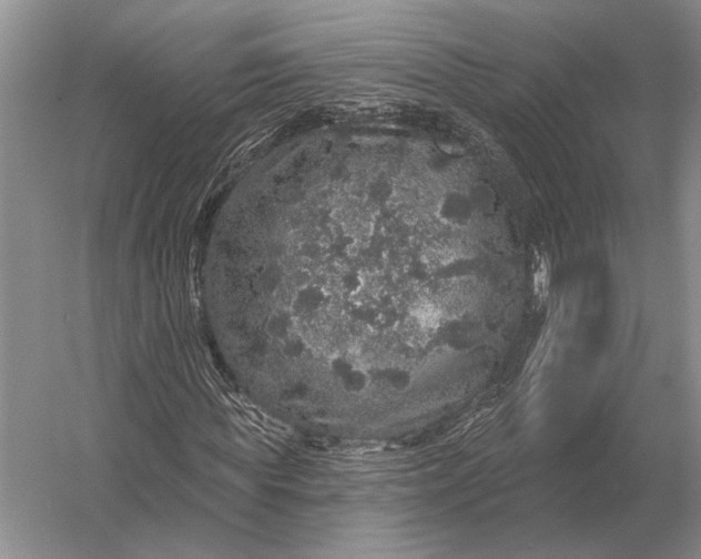 X0000056370819200509161852