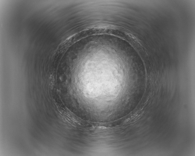 X0000056370821200509161852