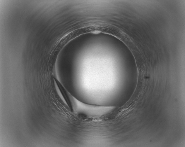 X0000056370822200509161852