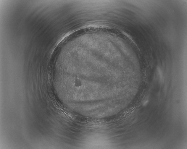 X0000056370823200509161852