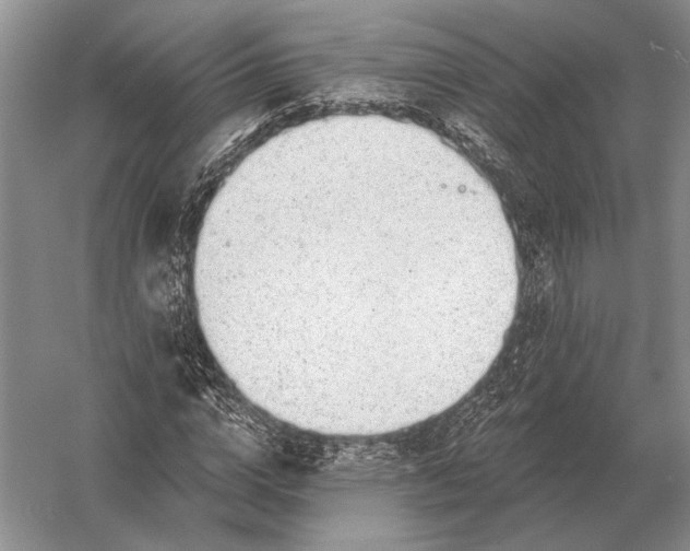 X0000056370824200509161852