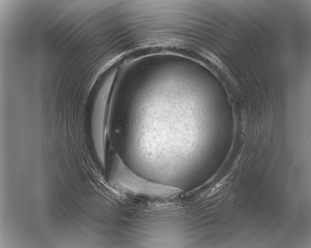 X0000056370826200509161852