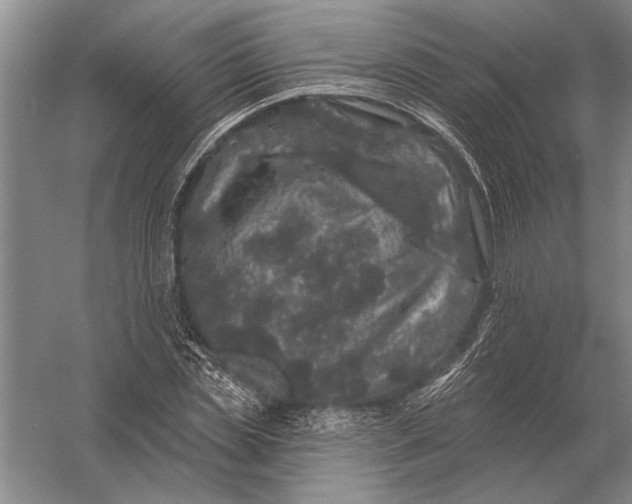 X0000056370829200509161852