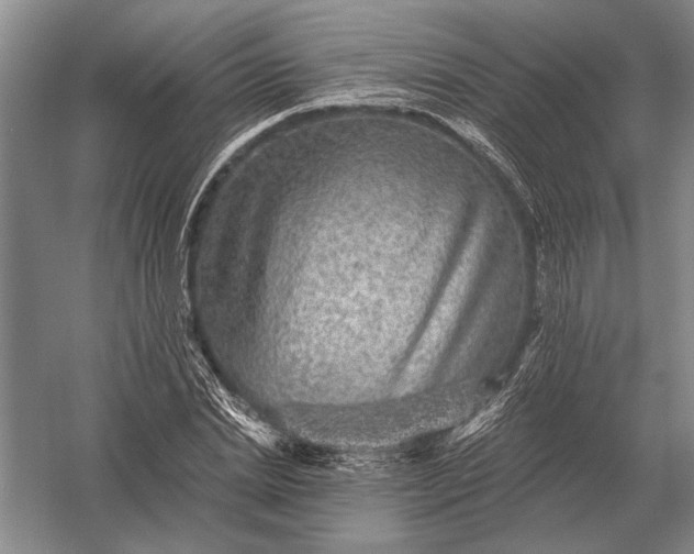 X0000056370830200509161852