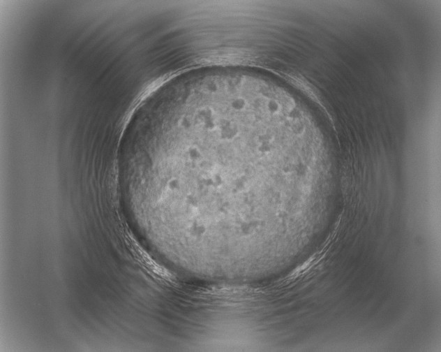 X0000056370831200509161852