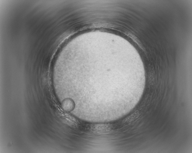 X0000056370832200509161852