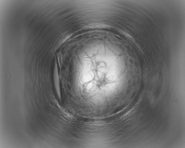 X0000056370833200509161852