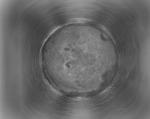 X0000056370835200509161852