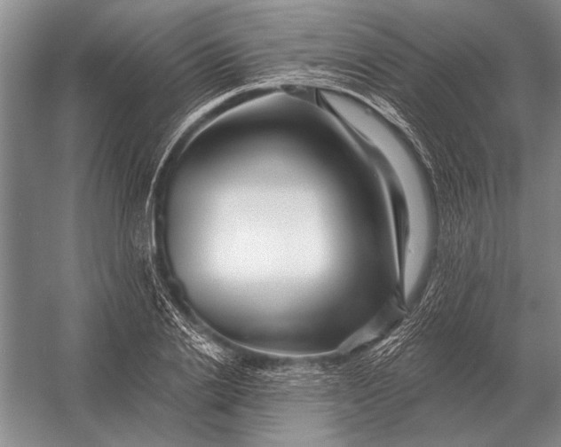 X0000056370838200509161852