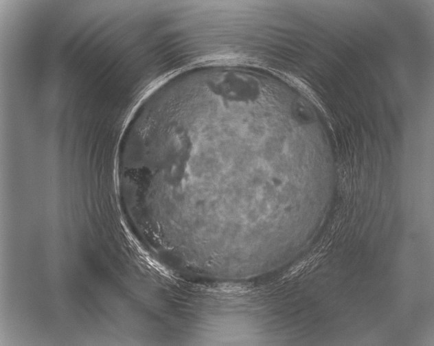 X0000056370839200509161852