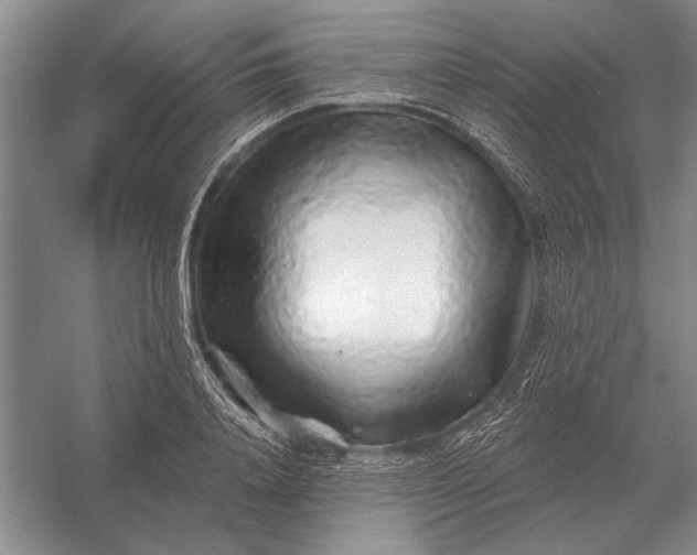 X0000056370840200509161852