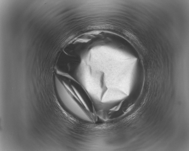 X0000056370841200509161852