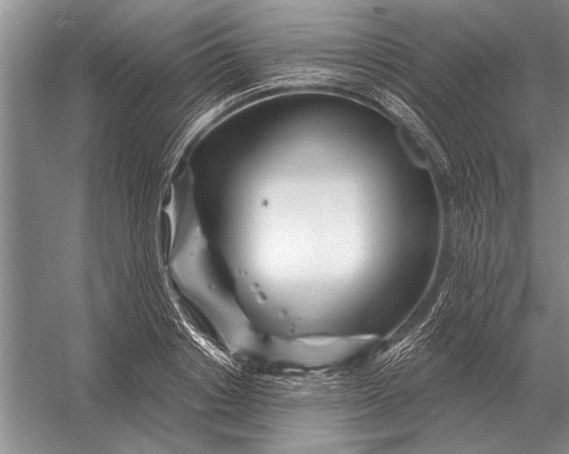 X0000056370842200509161852