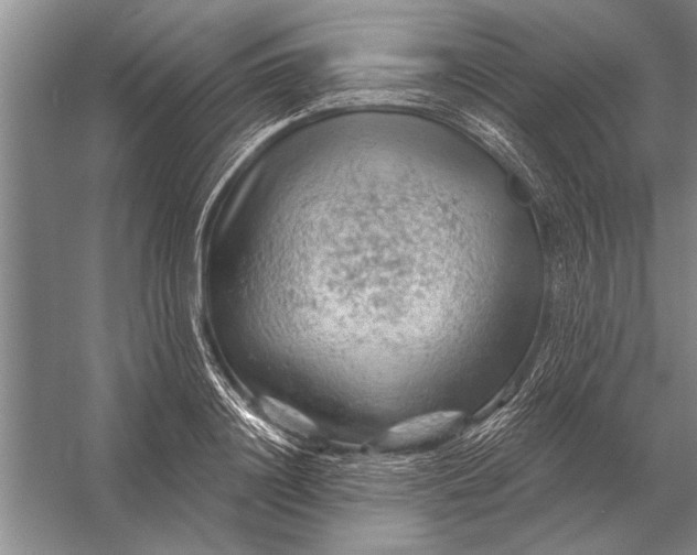 X0000056370844200509161852