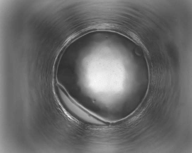 X0000056370845200509161852