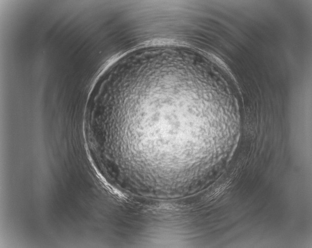 X0000056370847200509161852