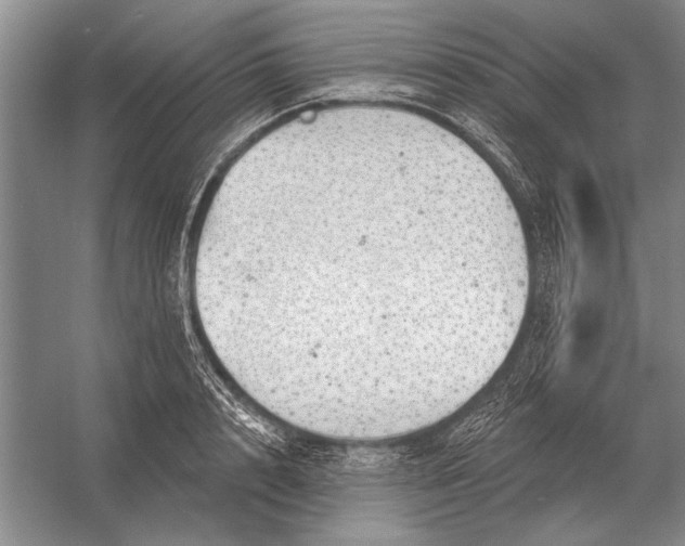 X0000056370848200509161852