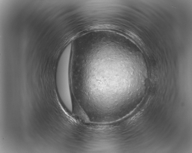 X0000056370849200509161852