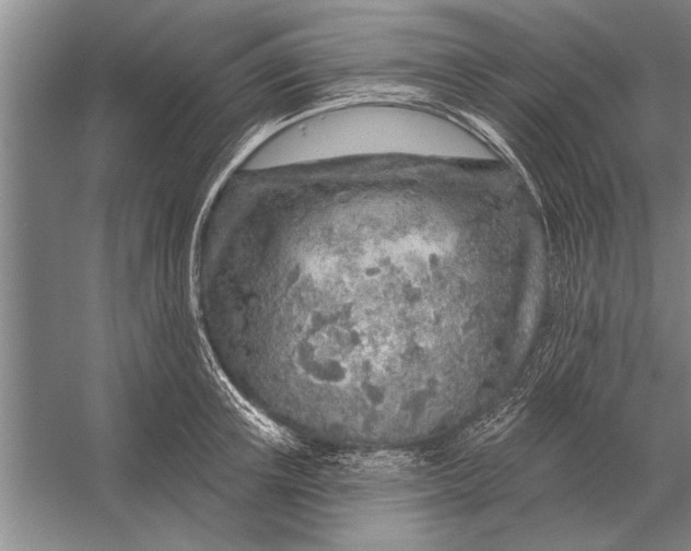 X0000056370851200509161852