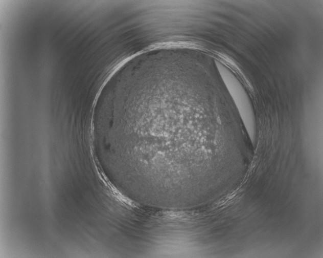 X0000056370852200509161852